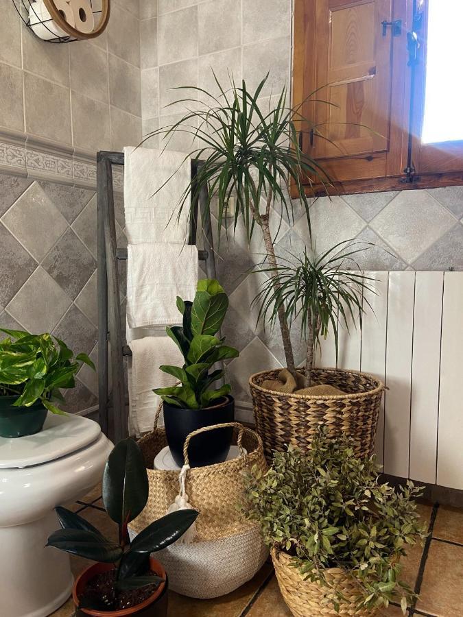 Esse Natura Alojamientos & Lifestyle Pozohondo エクステリア 写真